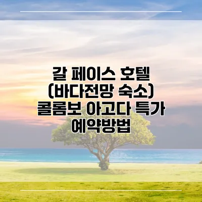 갈 페이스 호텔 (바다전망 숙소) 콜롬보 아고다 특가 예약방법