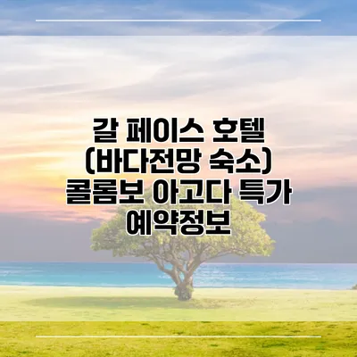 갈 페이스 호텔 (바다전망 숙소) 콜롬보 아고다 특가 예약정보