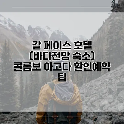 갈 페이스 호텔 (바다전망 숙소) 콜롬보 아고다 할인예약 팁