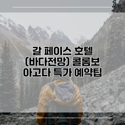 갈 페이스 호텔 (바다전망) 콜롬보 아고다 특가 예약팁