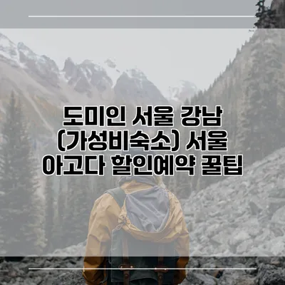 도미인 서울 강남 (가성비숙소) 서울 아고다 할인예약 꿀팁