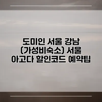 도미인 서울 강남 (가성비숙소) 서울 아고다 할인코드 예약팁