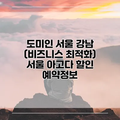 도미인 서울 강남 (비즈니스 최적화) 서울 아고다 할인 예약정보