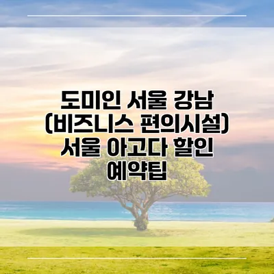 도미인 서울 강남 (비즈니스 편의시설) 서울 아고다 할인 예약팁