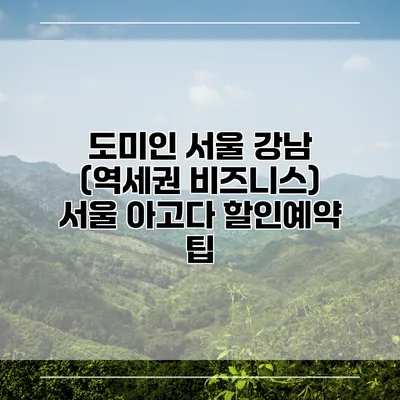 도미인 서울 강남 (역세권 비즈니스) 서울 아고다 할인예약 팁