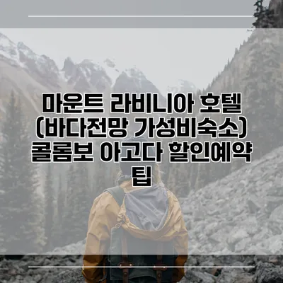 마운트 라비니아 호텔 (바다전망 가성비숙소) 콜롬보 아고다 할인예약 팁