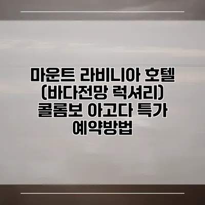 마운트 라비니아 호텔 (바다전망 럭셔리) 콜롬보 아고다 특가 예약방법