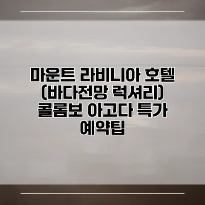 마운트 라비니아 호텔 (바다전망 럭셔리) 콜롬보 아고다 특가 예약팁