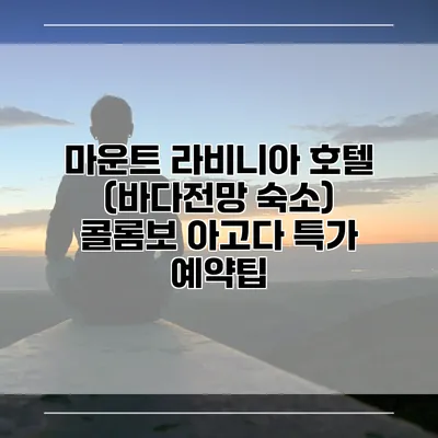 마운트 라비니아 호텔 (바다전망 숙소) 콜롬보 아고다 특가 예약팁