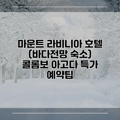 마운트 라비니아 호텔 (바다전망 숙소) 콜롬보 아고다 특가 예약팁
