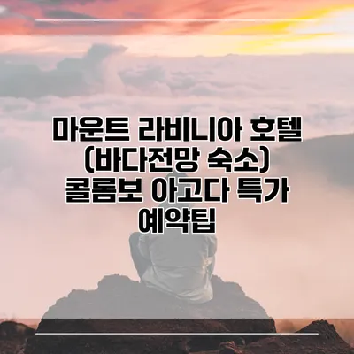 마운트 라비니아 호텔 (바다전망 숙소) 콜롬보 아고다 특가 예약팁