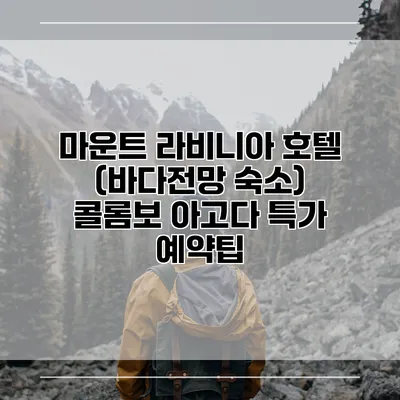 마운트 라비니아 호텔 (바다전망 숙소) 콜롬보 아고다 특가 예약팁