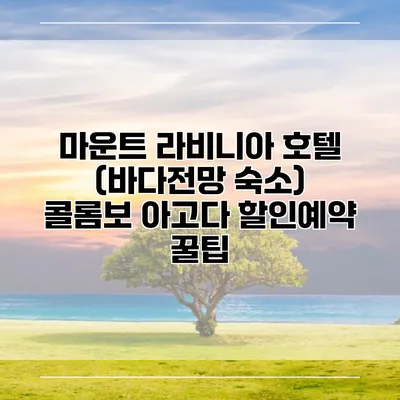 마운트 라비니아 호텔 (바다전망 숙소) 콜롬보 아고다 할인예약 꿀팁