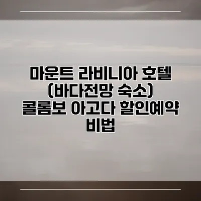 마운트 라비니아 호텔 (바다전망 숙소) 콜롬보 아고다 할인예약 비법