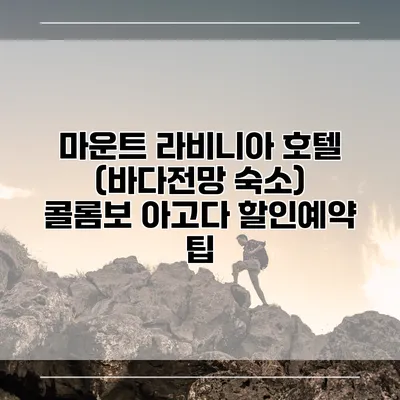 마운트 라비니아 호텔 (바다전망 숙소) 콜롬보 아고다 할인예약 팁