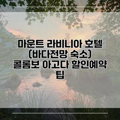 마운트 라비니아 호텔 (바다전망 숙소) 콜롬보 아고다 할인예약 팁