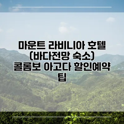 마운트 라비니아 호텔 (바다전망 숙소) 콜롬보 아고다 할인예약 팁