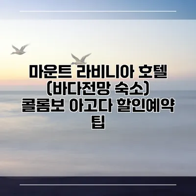 마운트 라비니아 호텔 (바다전망 숙소) 콜롬보 아고다 할인예약 팁