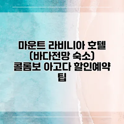 마운트 라비니아 호텔 (바다전망 숙소) 콜롬보 아고다 할인예약 팁