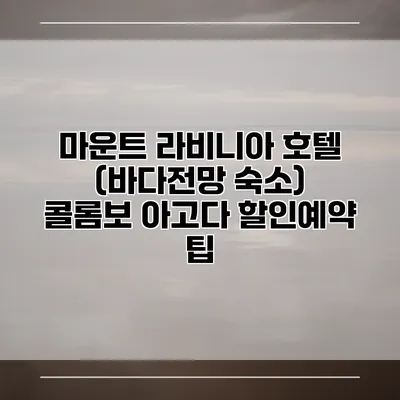 마운트 라비니아 호텔 (바다전망 숙소) 콜롬보 아고다 할인예약 팁