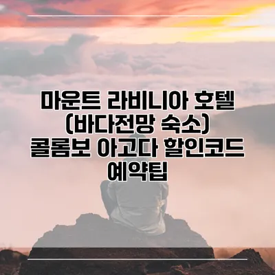 마운트 라비니아 호텔 (바다전망 숙소) 콜롬보 아고다 할인코드 예약팁