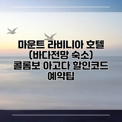 마운트 라비니아 호텔 (바다전망 숙소) 콜롬보 아고다 할인코드 예약팁