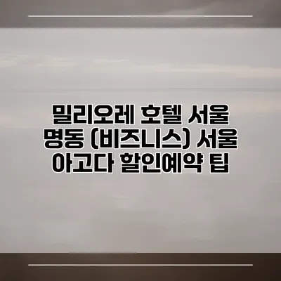 밀리오레 호텔 서울 명동 (비즈니스) 서울 아고다 할인예약 팁