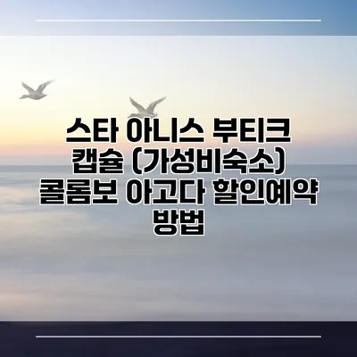 스타 아니스 부티크 캡슐 (가성비숙소) 콜롬보 아고다 할인예약 방법