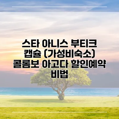 스타 아니스 부티크 캡슐 (가성비숙소) 콜롬보 아고다 할인예약 비법