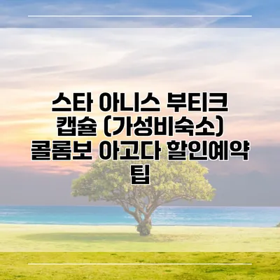 스타 아니스 부티크 캡슐 (가성비숙소) 콜롬보 아고다 할인예약 팁
