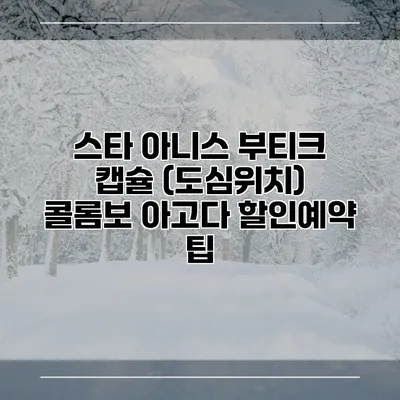 스타 아니스 부티크 캡슐 (도심위치) 콜롬보 아고다 할인예약 팁
