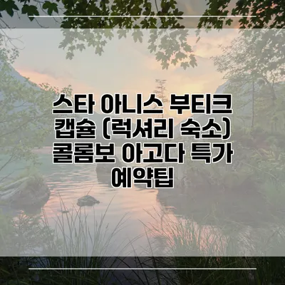 스타 아니스 부티크 캡슐 (럭셔리 숙소) 콜롬보 아고다 특가 예약팁