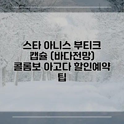 스타 아니스 부티크 캡슐 (바다전망) 콜롬보 아고다 할인예약 팁