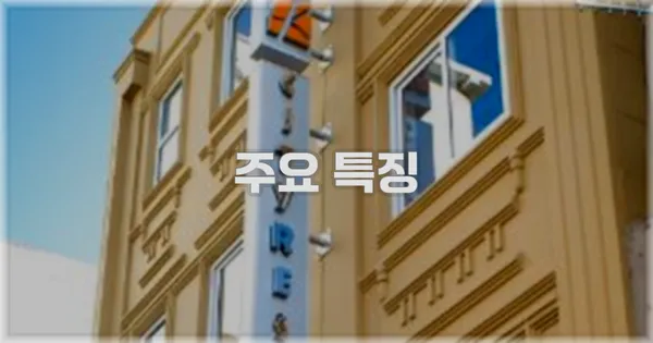 ✨ 주요 특징
