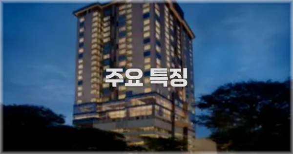 ✨ 주요 특징