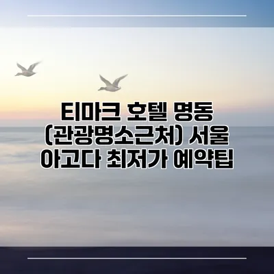 티마크 호텔 명동 (관광명소근처) 서울 아고다 최저가 예약팁