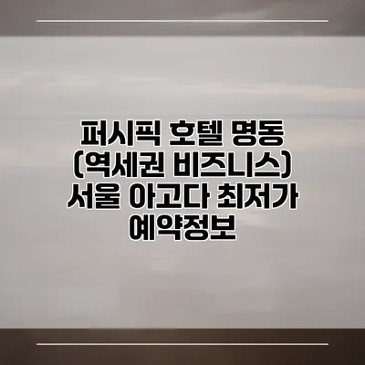 퍼시픽 호텔 명동 (역세권 비즈니스) 서울 아고다 최저가 예약정보