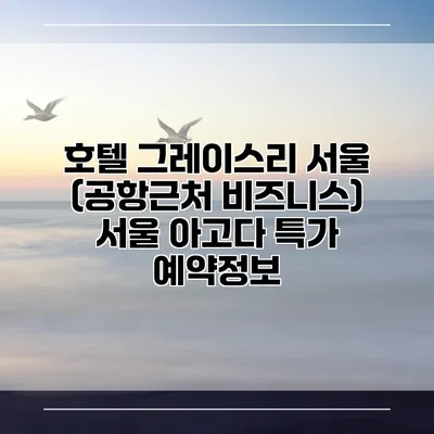호텔 그레이스리 서울 (공항근처 비즈니스) 서울 아고다 특가 예약정보