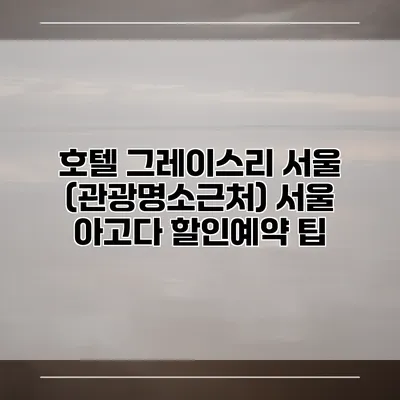 호텔 그레이스리 서울 (관광명소근처) 서울 아고다 할인예약 팁