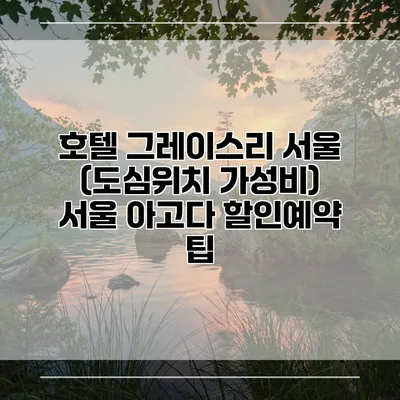 호텔 그레이스리 서울 (도심위치 가성비) 서울 아고다 할인예약 팁