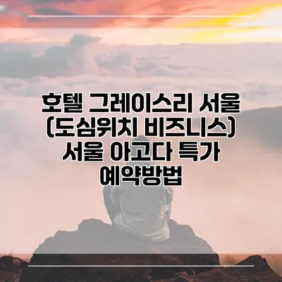 호텔 그레이스리 서울 (도심위치 비즈니스) 서울 아고다 특가 예약방법