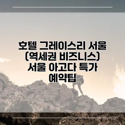 호텔 그레이스리 서울 (역세권 비즈니스) 서울 아고다 특가 예약팁