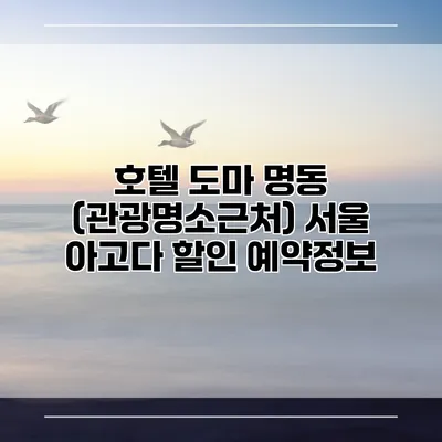 호텔 도마 명동 (관광명소근처) 서울 아고다 할인 예약정보