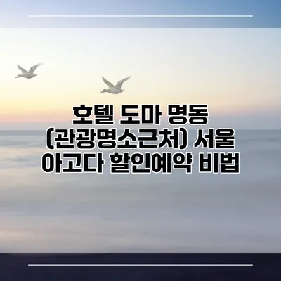 호텔 도마 명동 (관광명소근처) 서울 아고다 할인예약 비법
