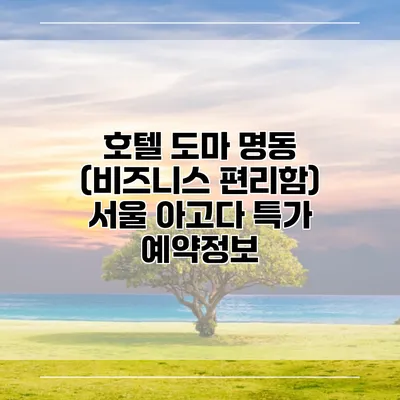 호텔 도마 명동 (비즈니스 편리함) 서울 아고다 특가 예약정보
