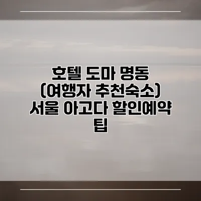 호텔 도마 명동 (여행자 추천숙소) 서울 아고다 할인예약 팁