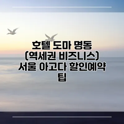 호텔 도마 명동 (역세권 비즈니스) 서울 아고다 할인예약 팁