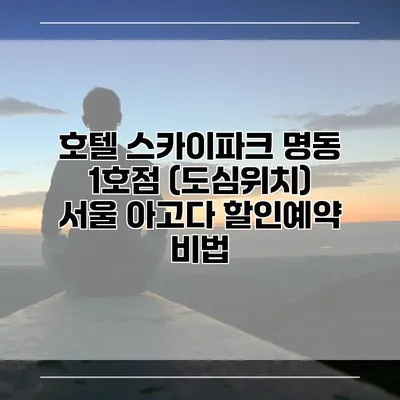 호텔 스카이파크 명동 1호점 (도심위치) 서울 아고다 할인예약 비법